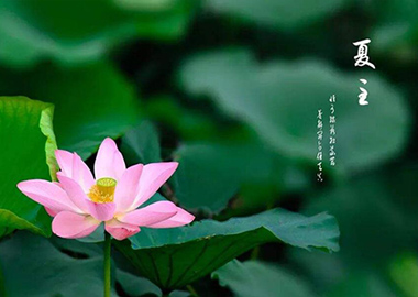 夏至