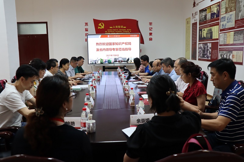 20210708  国家知识产权局刘毅副司长一行到知识产权信息服务中心调研1.jpg