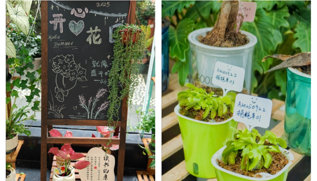 1764206609119912.png 1764206609119912.png