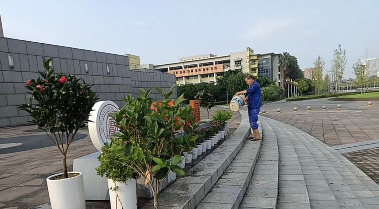 绿植养护.jpg
