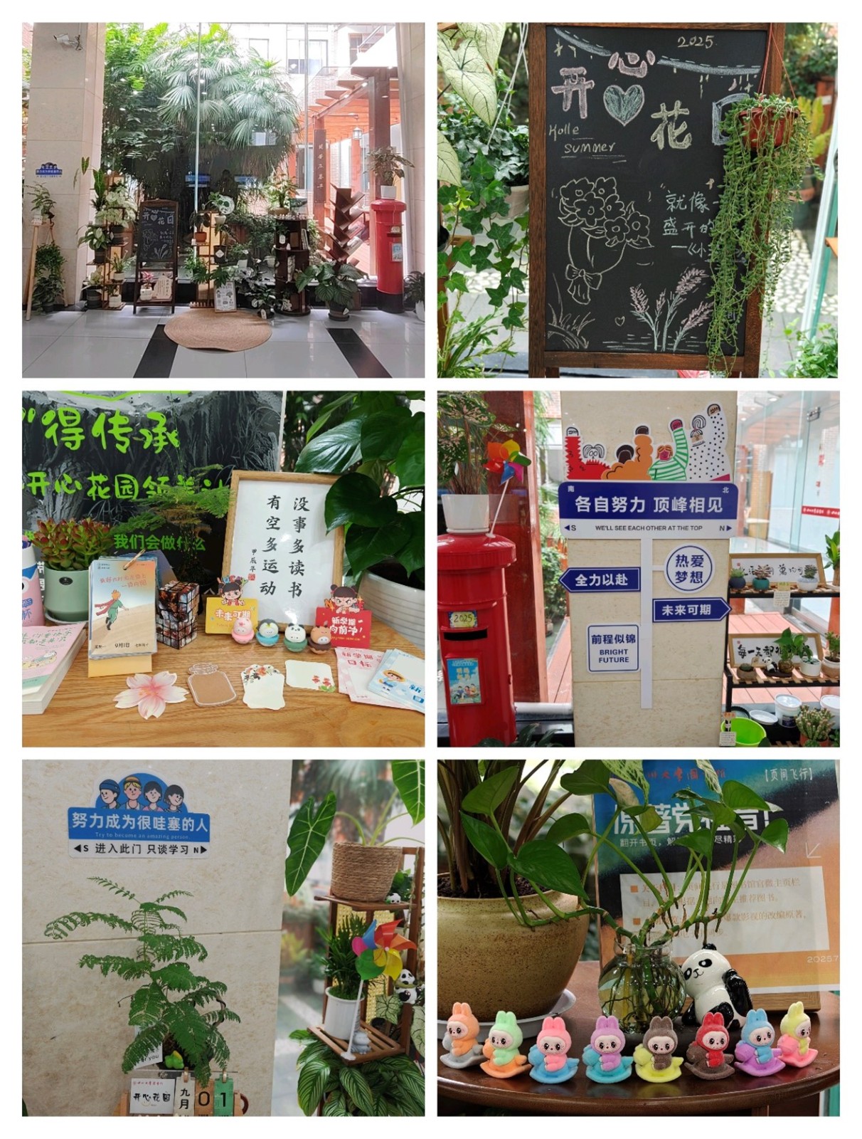 精心打造工学图书馆开心花园.jpg